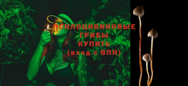 скорость Новозыбков