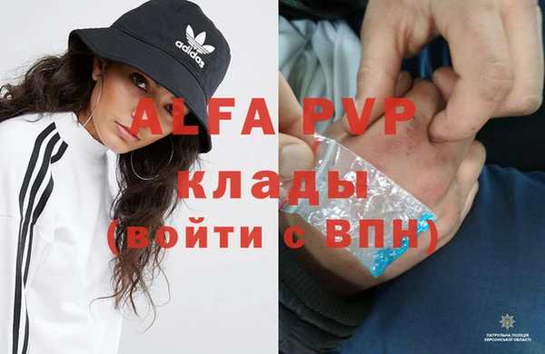 скорость Новозыбков