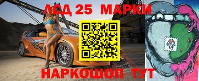 гашик Аргун
