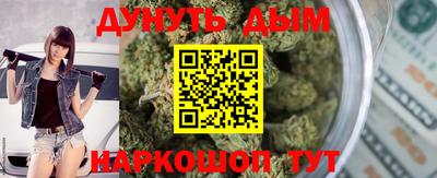гашик Аргун