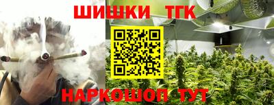 гашик Аргун