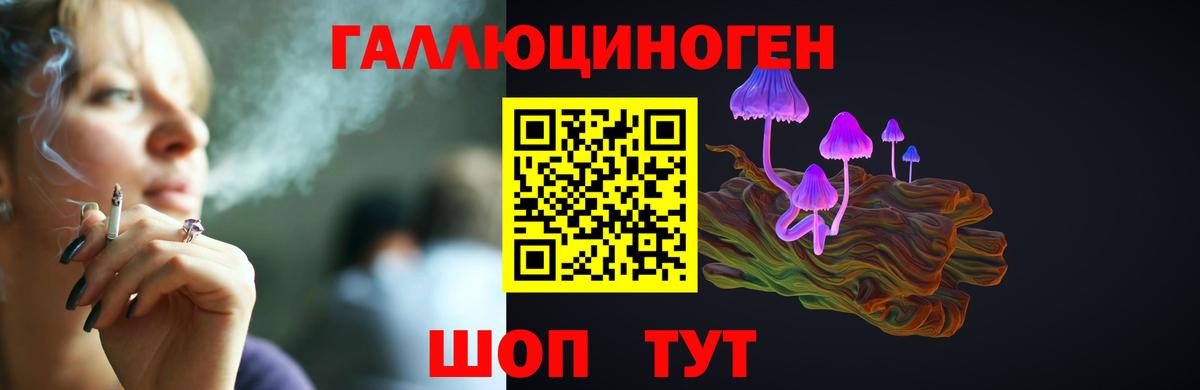 Псилоцибиновые грибы Psilocybine cubensis Рыбинск